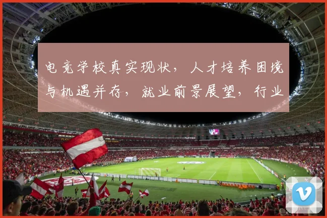 电竞学校真实现状，人才培养困境与机遇并存，就业前景展望，行业发展态势分析，未来趋势探讨