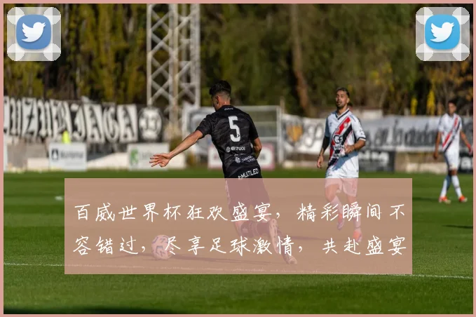 百威世界杯狂欢盛宴，精彩瞬间不容错过，尽享足球激情，共赴盛宴之旅